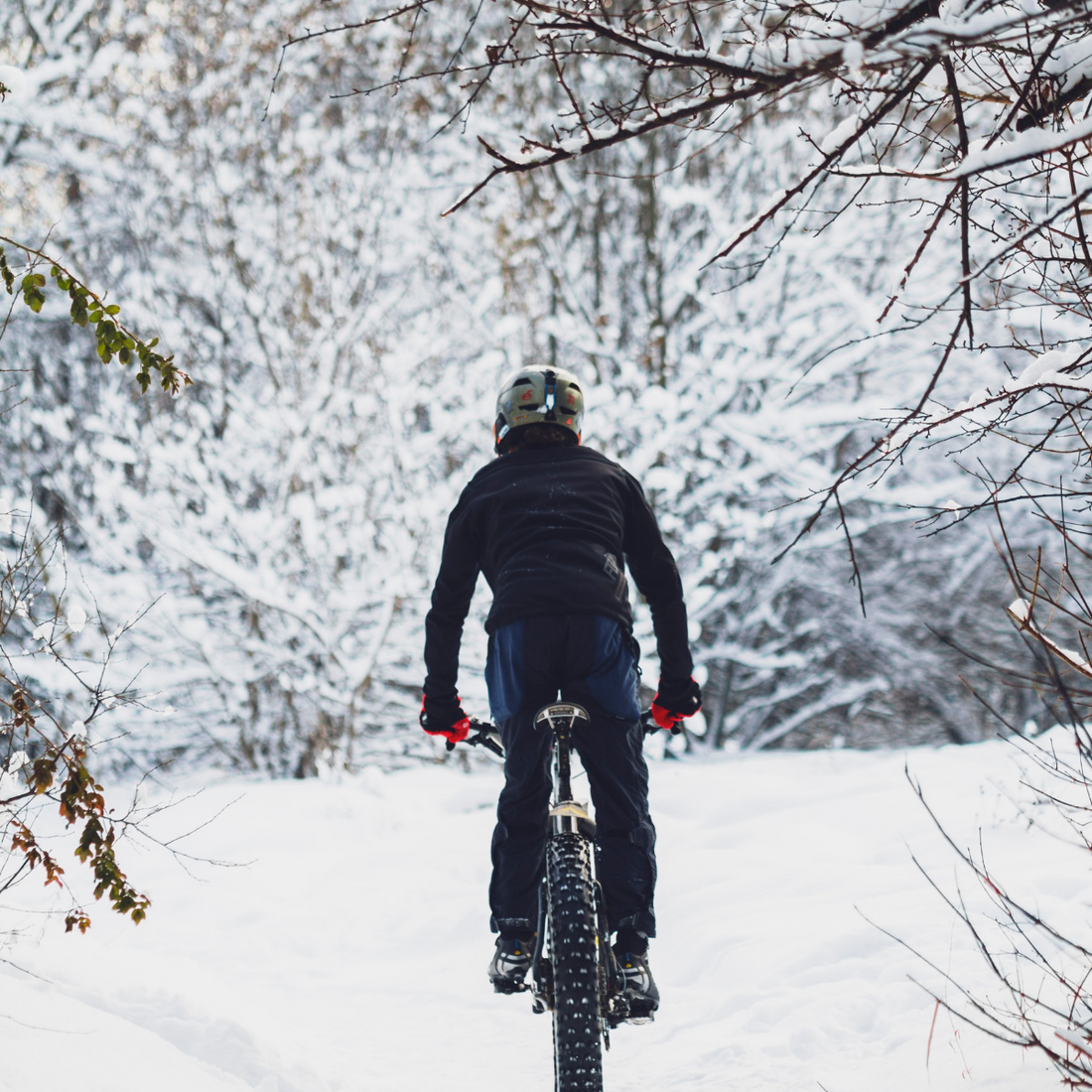 ¿Las bicicletas son para el verano?